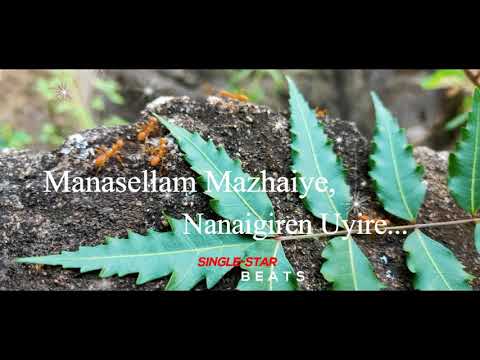 #lyrics video#saguni , Manasellam Mazhaiye