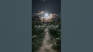 القارئ /ماهر المعيقلي'سورة الجمعة آية(6) قل يٓأيها اللذين هادوٓ إن زعمتم أنكم اوليآء للّه....