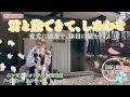 【エンゼルフォレスト白河高原】休日は愛犬と旅を。ハイグレードコテージで過ごす春旅が、特別すぎた🐕️🌸 #旅行 #観光 #doglife #pr #エンゼルフォレスト白河高原