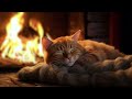 Cozy purring cat asmr  peaceful evening fireplace and gentle purr