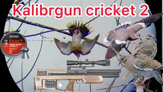 Kalibrgun Cricket 2 Bullpup .22 Dove Hunting