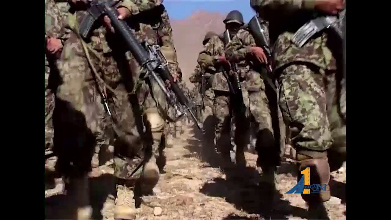 CCI Election Campaign 1