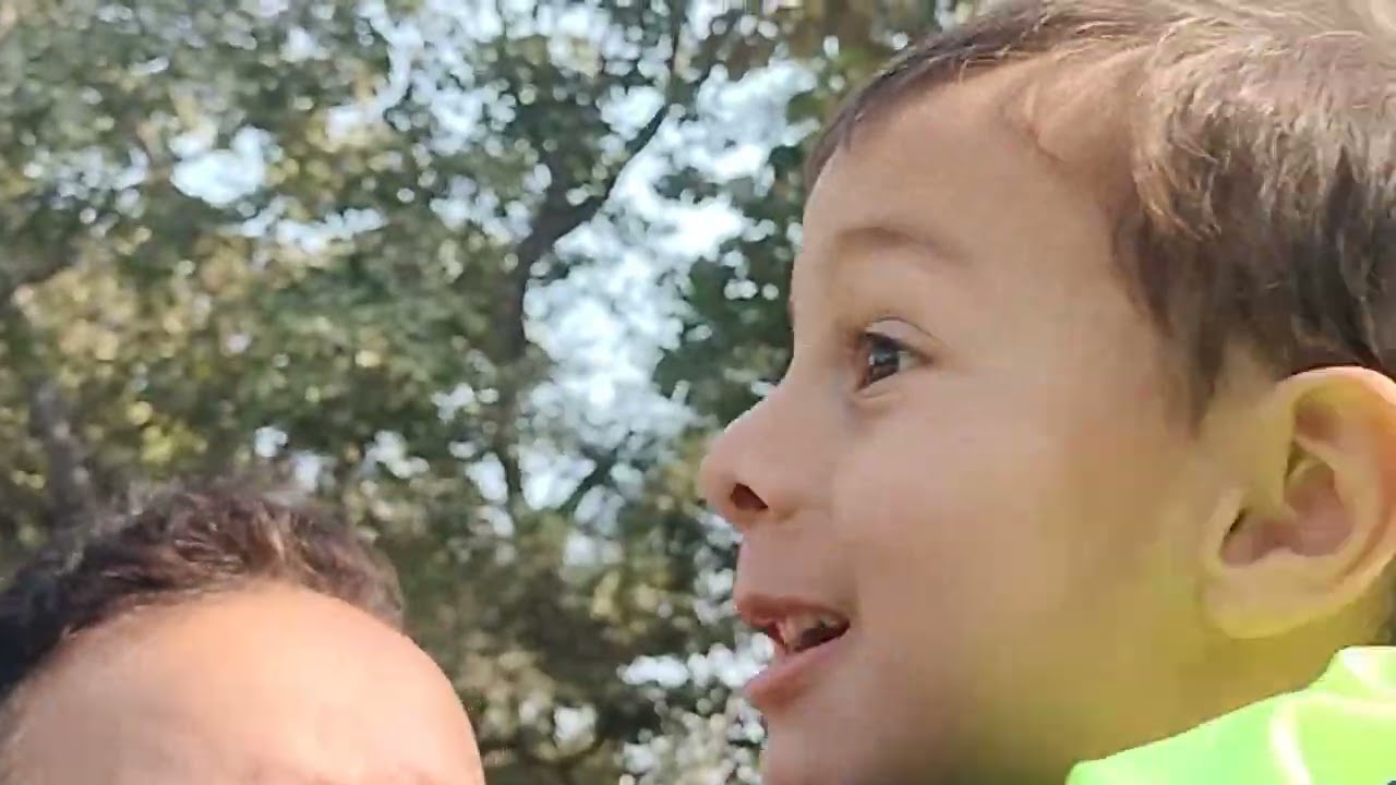 A day in Delhi zoo 🐆🦬🐃🐂🦥 