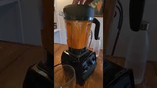 IS VITAMIX BLENDER WORTH IT?