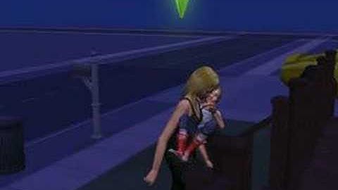Weird Sims 2 Glitch!