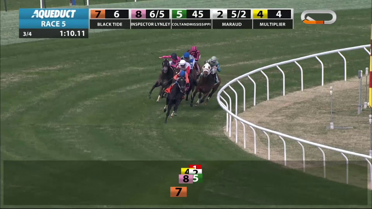 horse racing news Inspector Lynley - 2019 - The Danger's Hour Stakes