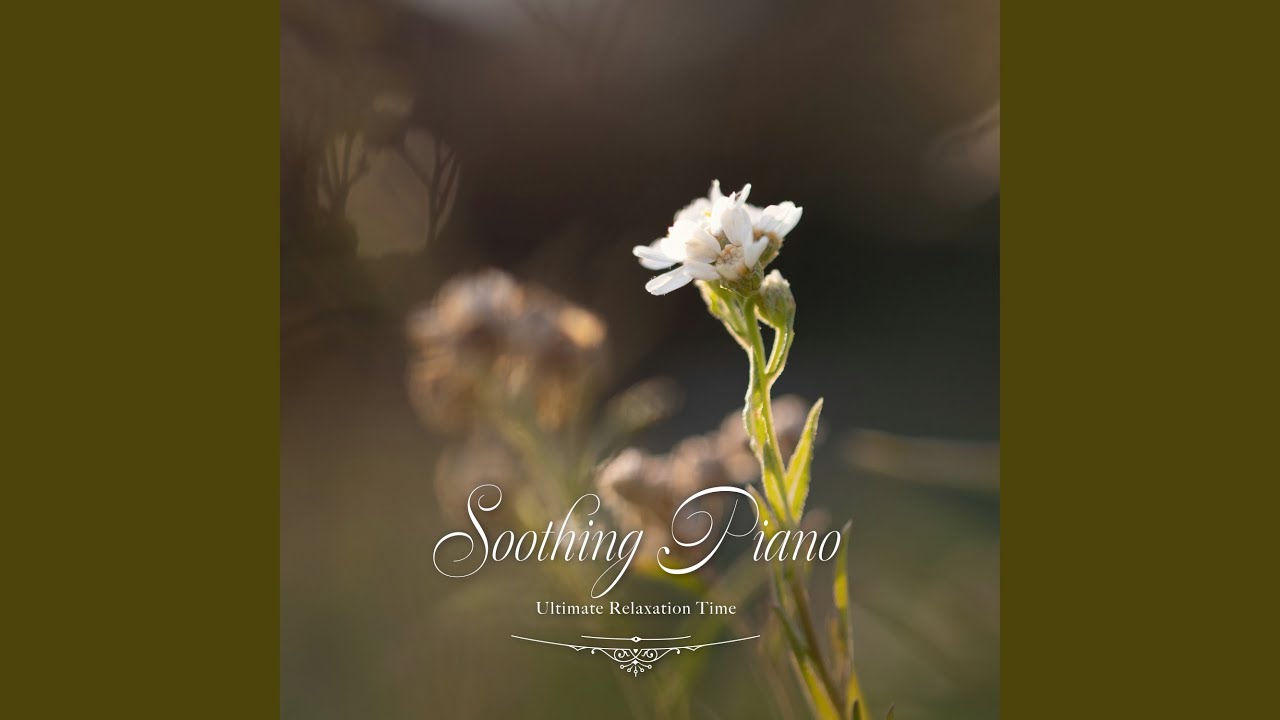 Soft Night Serenade (Soothing Piano)