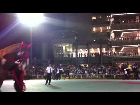 2011.09.28大井競馬場・第45回東京盃(Jpn2)パドック最終周回