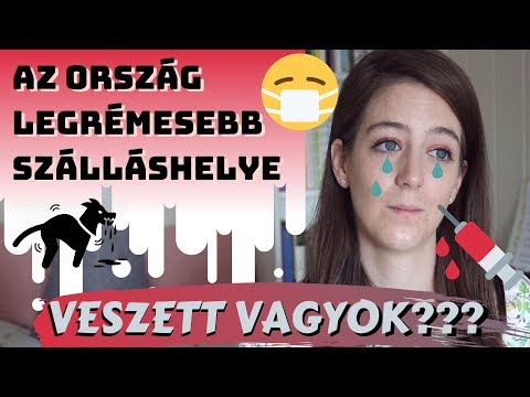 Videó: Ki Adhat Veszettség Elleni Oltást? És Miért Számít Ez?