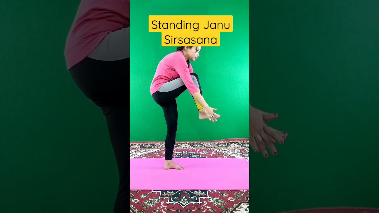 Standing Head to Knee Pose | Dandayamana-Janushirasana | This pose is  practiced as part of the standing series in our Classic (Bikram/Hot 26)  class! 🔥 HOT TIP 🔥 master each step of