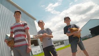 They are young and raise chickens to sell the eggs