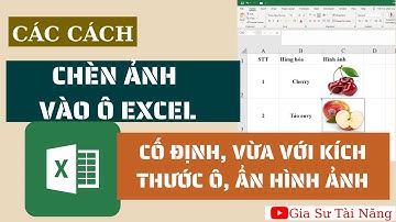 Các cách chèn ảnh vào excel hay | Gia sư Tài Năng