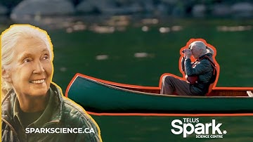 Bugs & Bytes - Summer @ Spark 2024