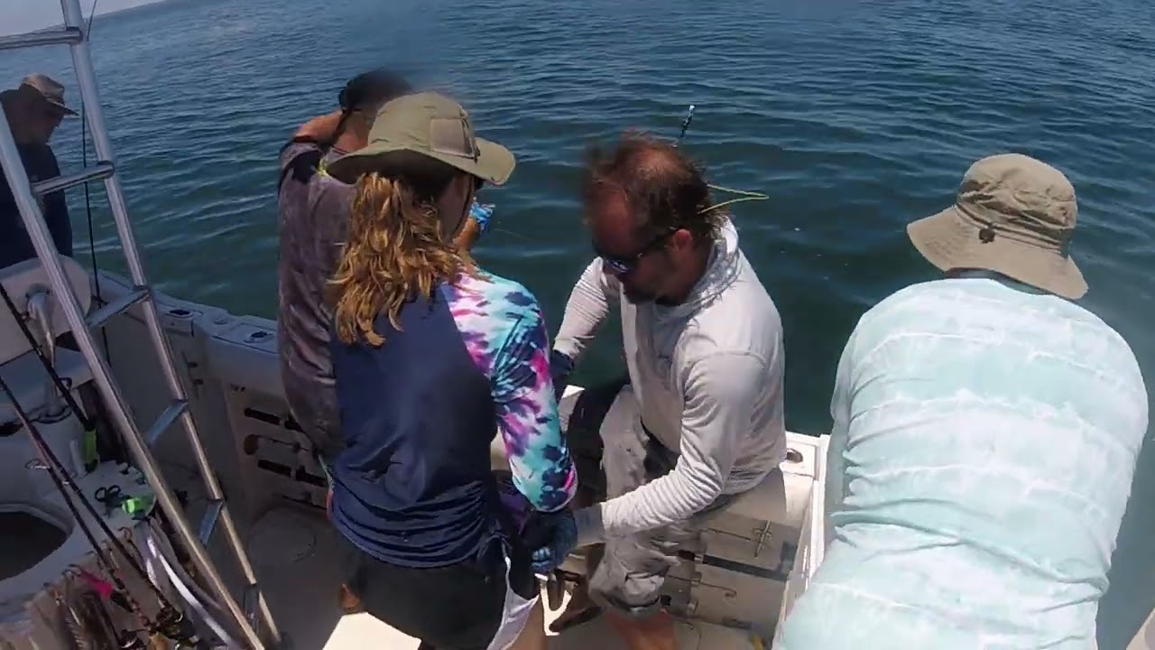 girl catches massive Goliath grouper