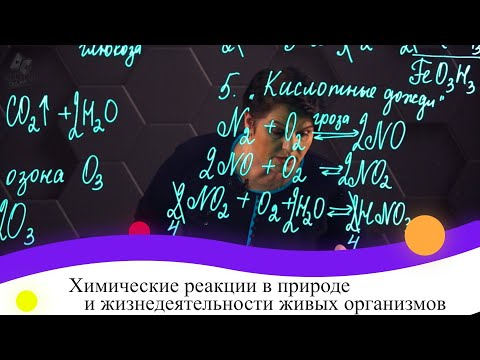 Химические реакции в природе и жизнедеятельности живых организмов. 8 класс.