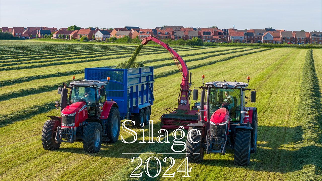 1st Cut 2024 Grass Silage