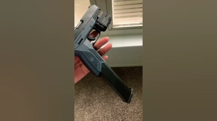 Ruger Security-9 With Amazon Combo And Extended Mag #legallydangerous #9mmpistol #edc #memes