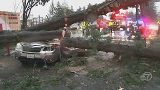 Flooded Out Weekend Storm Brings North Bay Flooding Downed Trees And Injuries