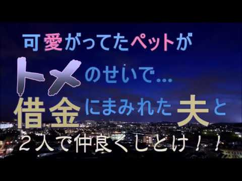 【修羅場キング】可愛がってたペットがトメのせいで...借金にまみれた夫と２人で仲良くしとけ！！