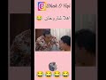 اهلا شاروخان Comedyshorts كوميديات ضحك Comedyvideo Comedy Comedyfilms Comedia Comedian 