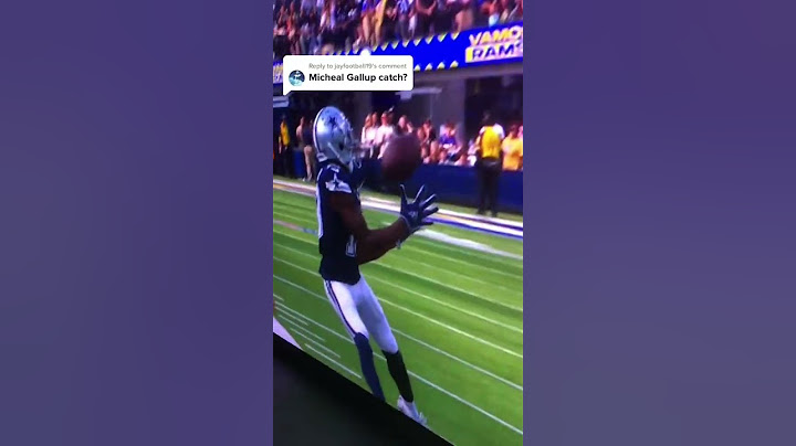 Dallas Cowboys fans can’t stop talking about the Michael Gallup catch