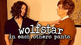 {wolfstar challenge: in each others pants}