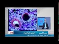 04 12 2017 أحياء 2 ثانوي حلقة 9 تابع التنفس في الانسان الاستاذ حسن محرم