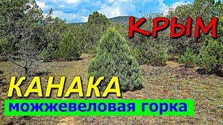 КАНАКА. КРЫМ. МОЖЖЕВЕЛОВАЯ ГОРКА. КАК НАЙТИ ЗДОРОВЬЕ. ИНТЕРНЕТ над МОРЕМ.