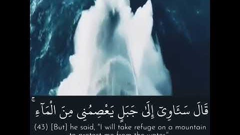 وهي تجري بهم في موجٍ كالجبال ونادي نوحٍ ابنه- القارئ إسلام صبحي