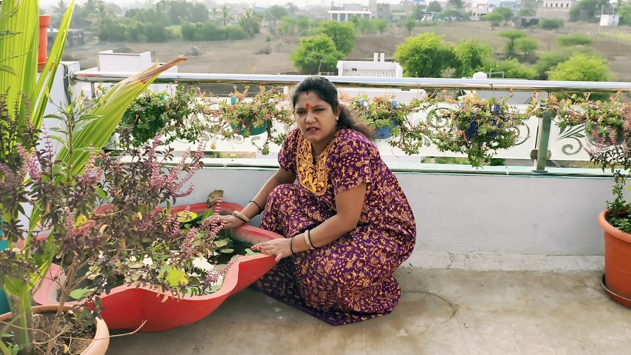 कमळाची वाट लागली 🥺 हाता तोंडाशी आलेले गेलं 😔 आर्यन सोबत गप्पा मारत काम केली 😍 भरलेलं रस्सा वांग 😋