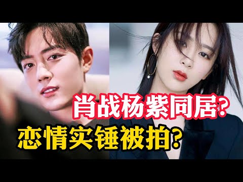 【内娱影视咖】肖战杨紫同居？反正恋情实锤是被拍到了？