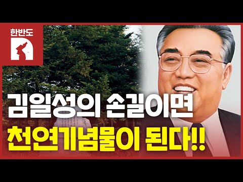 북한, 김일성이 만지면 1호 천연기념물?? | Zoom in NK