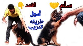 ازاي تدرب الجرو الجيرمن علي أمرين بأسهل طريقه للمبتدئين  في 5 دقائق اخييراااااااا👌