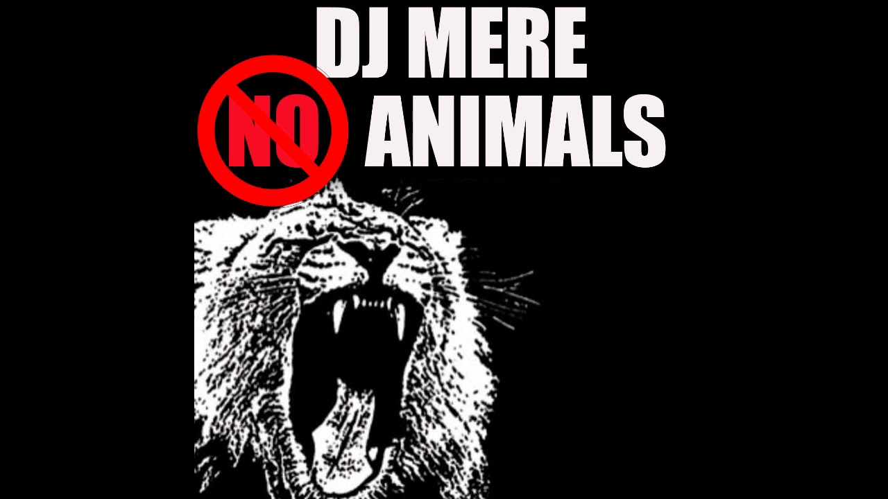 Watch DJ MERE - NO ANIMALS on YouTube Watch DJ MERE - NO ANIMALS on YouTube