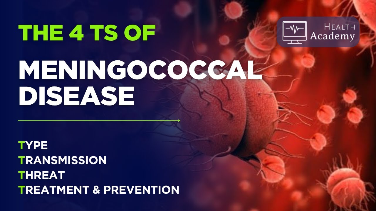 4Т менингококковой инфекции