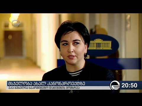 ეკა ბესელია საკომიტეტო დანიშვნის მომხრეა