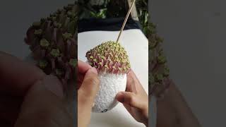 พุ่มดอกรัก #ดอกรัก #diy #flowers #handmade #พานไหว้ครู #ไหว้ครู