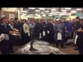築地せり場 松方弘樹さんが釣り上げた巨大マグロ 2015.5.30