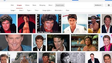 Google Image Search – Search Tools – Large Image