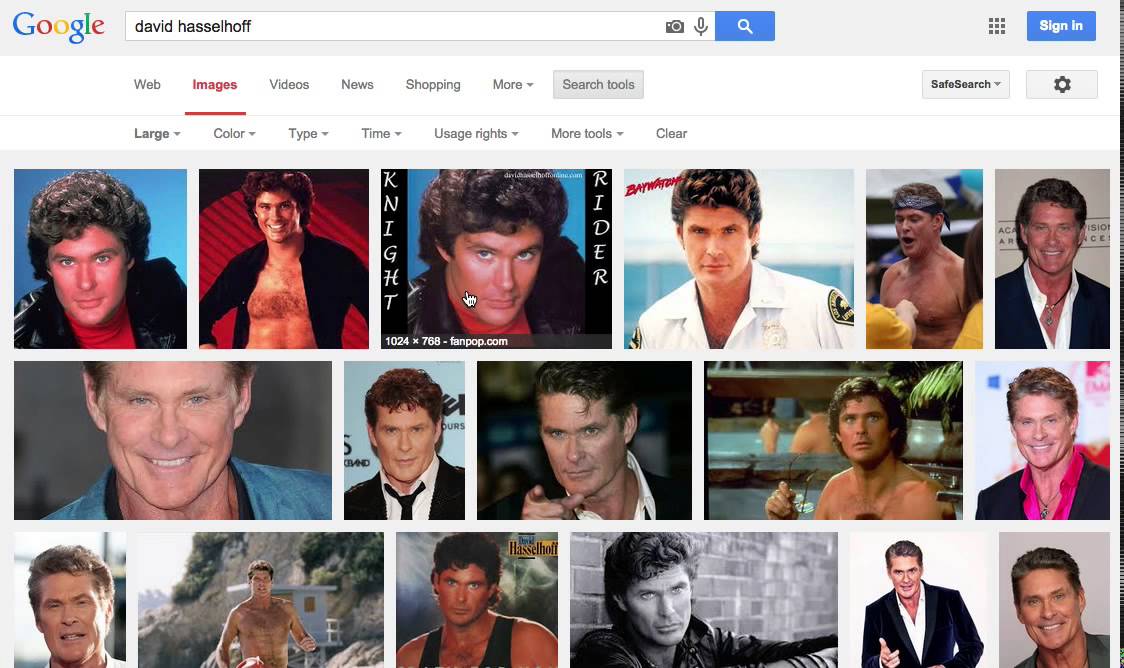 Google Image Search – Search Tools – Large Image