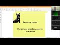 НАЧАЛО ПРОГУЛКИ = ПОСЛУШАНИЕ как гулять с собакой? подготовка  к прогулке, выход дома