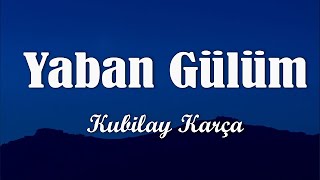 Kubilay Karça - Yaban Gülüm (Sözleri/Lyrics)