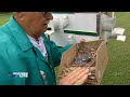 Wisconsin Life Purple Martin People 