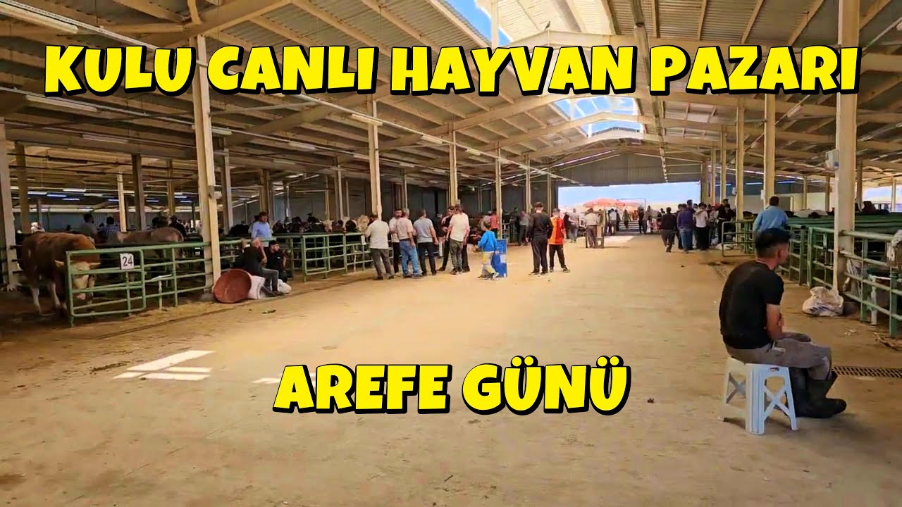 AREFE GÜNÜ KULU CANLI HAYVAN PAZARI