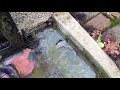 Middle of video