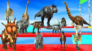 Dinosaurs Speed Race Run Zigzag Down Course! from Outside: Which is the Fastest Dinosaur? ARBS
