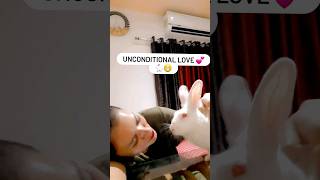 unconditional love???pets rabbit love petlover youtubeshortsbunny rabbitliferabbitlifestyle