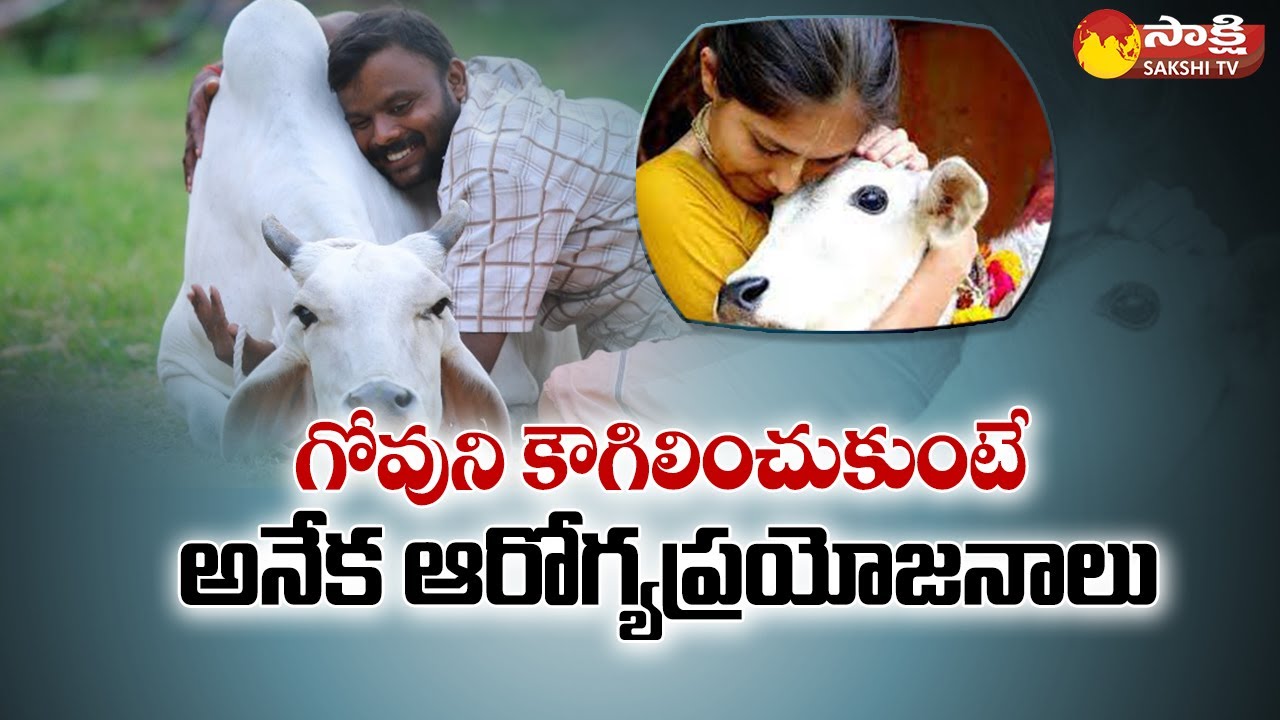 Jokes apart, cow hugging has benefits. But, the cow must know you 