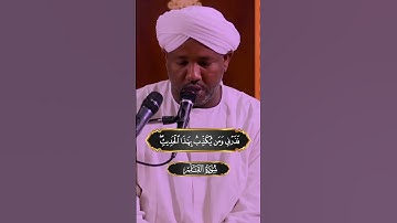 تلاوة خاشعة لسورة القلم بصوت الشيخ الزين.