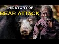 Sloth bear attack  in search of sloth bear